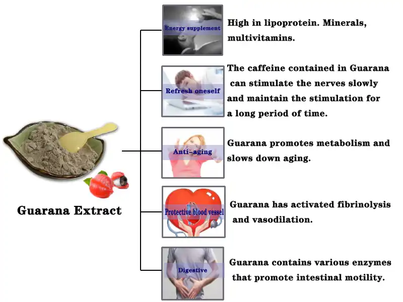 Guarana Ext.jpg